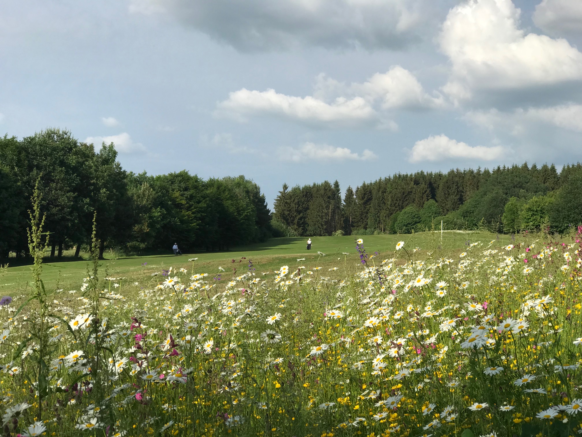 Golfplatz Wiesensee